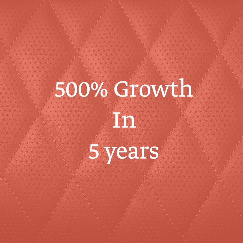 SLMD Homepage Infographic - 500% growth in 5 years